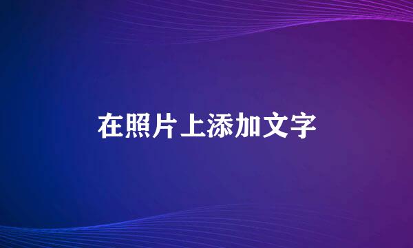 在照片上添加文字