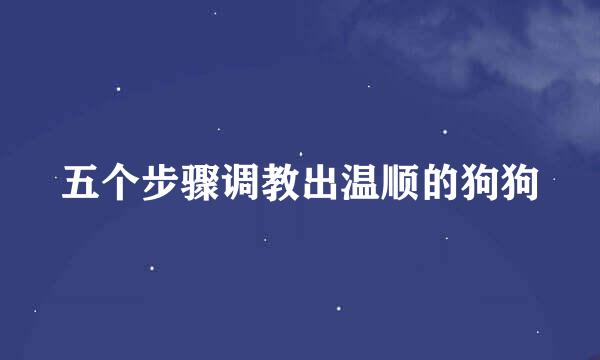 五个步骤调教出温顺的狗狗