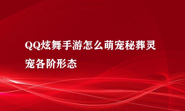 QQ炫舞手游怎么萌宠秘葬灵宠各阶形态