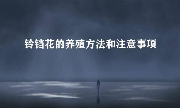 铃铛花的养殖方法和注意事项