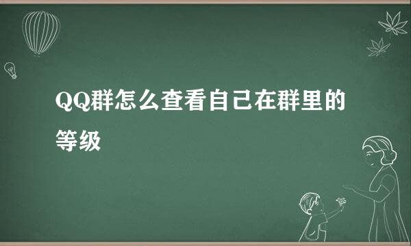 QQ群怎么查看自己在群里的等级