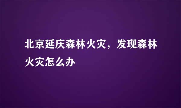 北京延庆森林火灾，发现森林火灾怎么办