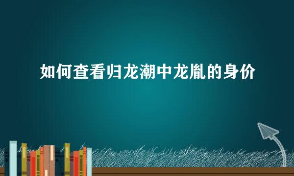 如何查看归龙潮中龙胤的身价