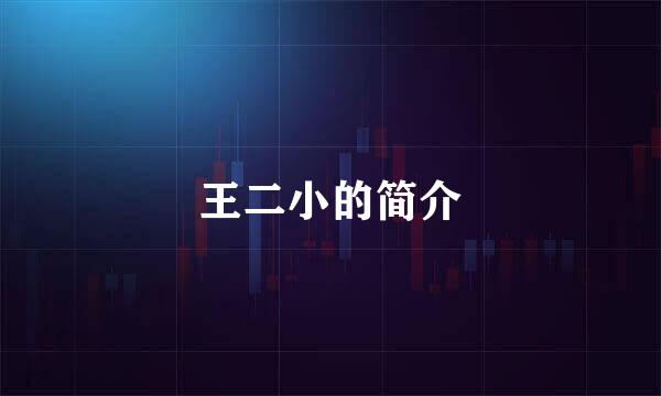 王二小的简介