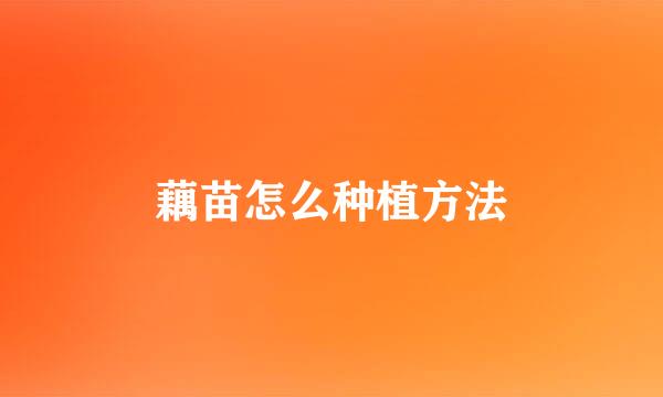 藕苗怎么种植方法