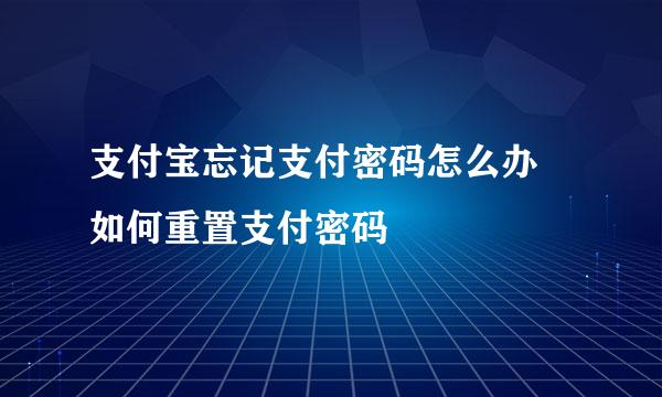 支付宝忘记支付密码怎么办 如何重置支付密码