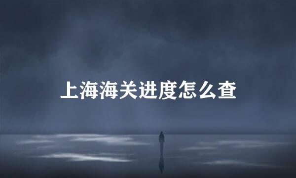 上海海关进度怎么查