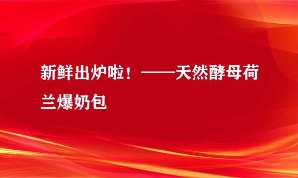 新鲜出炉啦！——天然酵母荷兰爆奶包