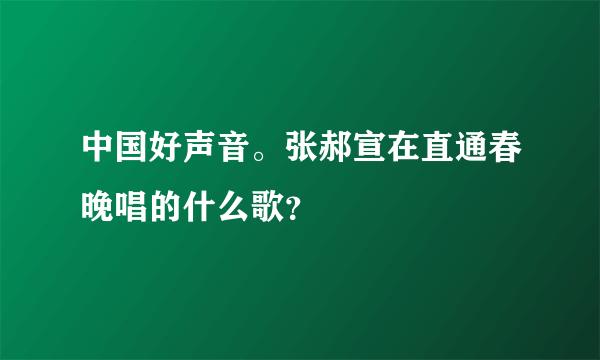 中国好声音。张郝宣在直通春晚唱的什么歌？