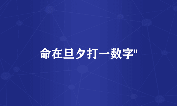 命在旦夕打一数字