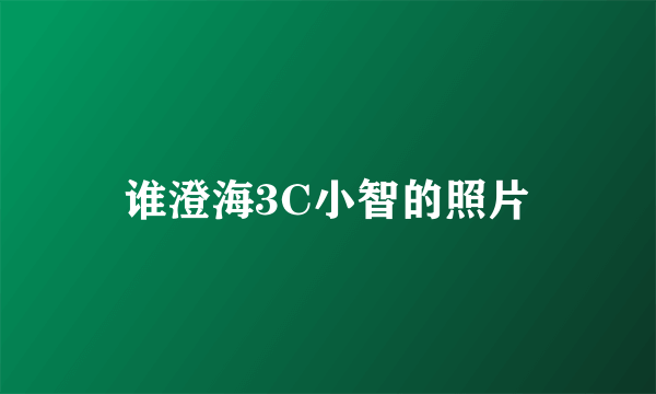 谁澄海3C小智的照片