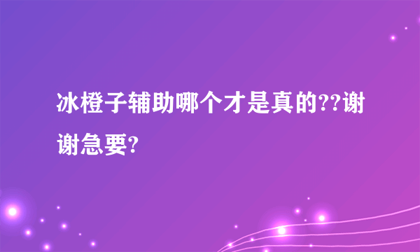冰橙子辅助哪个才是真的??谢谢急要?