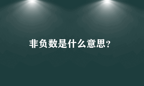 非负数是什么意思？