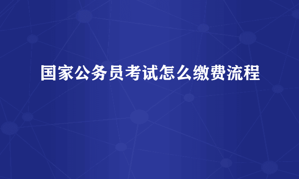 国家公务员考试怎么缴费流程