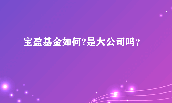 宝盈基金如何?是大公司吗？