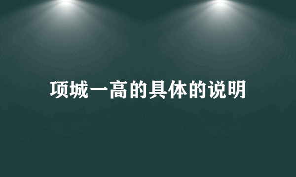 项城一高的具体的说明