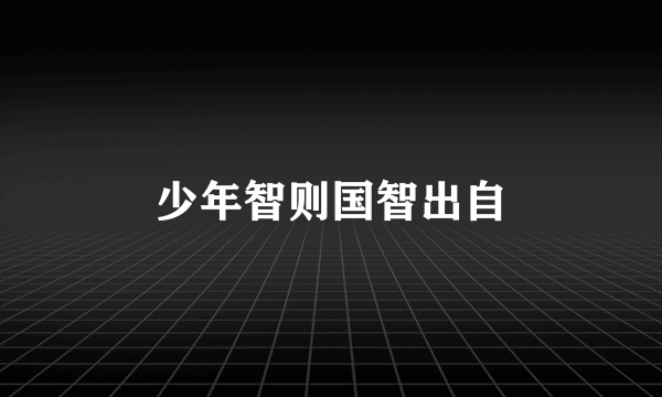 少年智则国智出自