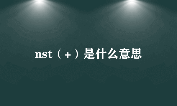 nst（+）是什么意思