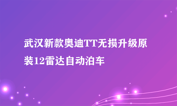 武汉新款奥迪TT无损升级原装12雷达自动泊车