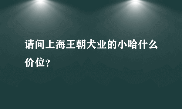 请问上海王朝犬业的小哈什么价位？