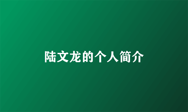 陆文龙的个人简介