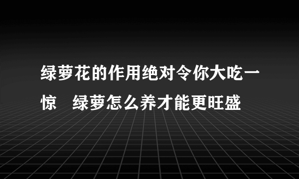 绿萝花的作用绝对令你大吃一惊   绿萝怎么养才能更旺盛