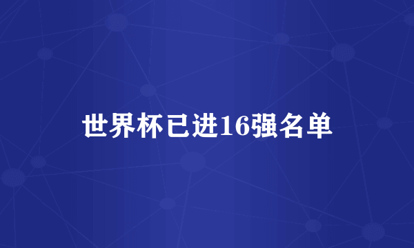 世界杯已进16强名单