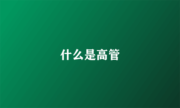 什么是高管