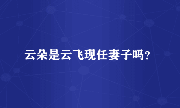 云朵是云飞现任妻子吗？