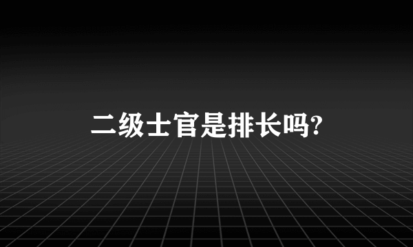 二级士官是排长吗?