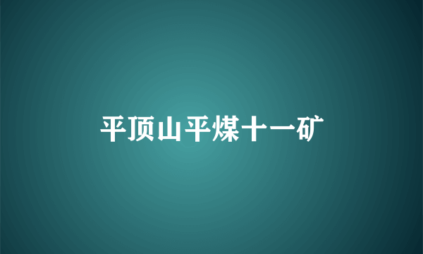 平顶山平煤十一矿