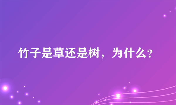 竹子是草还是树，为什么？