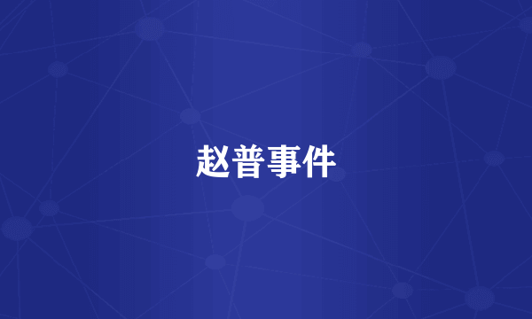 赵普事件