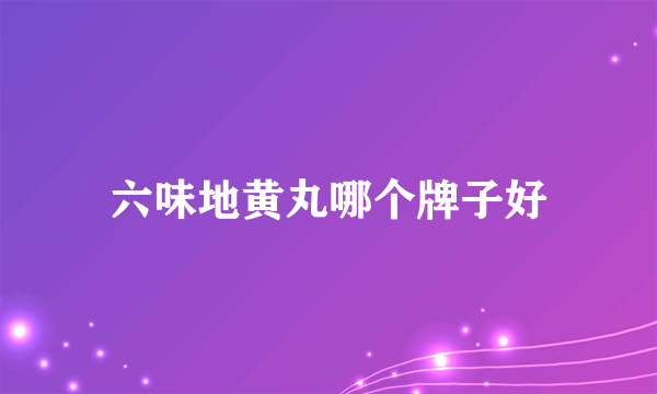 六味地黄丸哪个牌子好