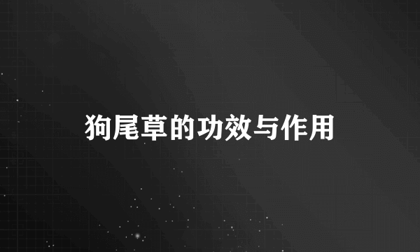 狗尾草的功效与作用