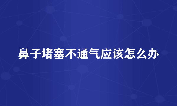 鼻子堵塞不通气应该怎么办