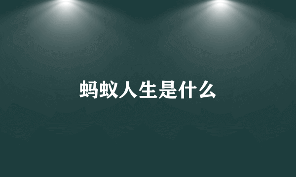 蚂蚁人生是什么