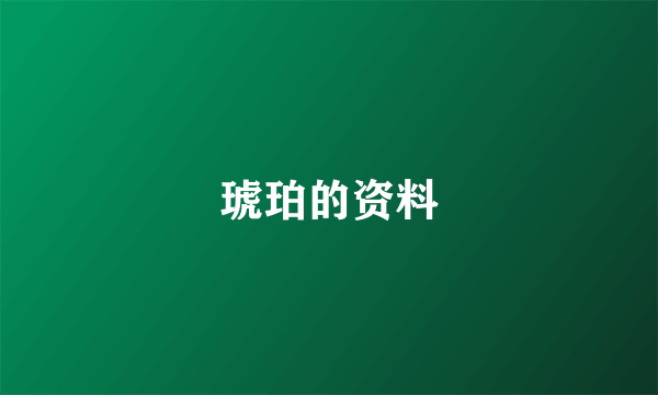 琥珀的资料