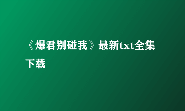 《爆君别碰我》最新txt全集下载