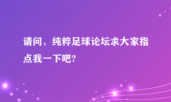 请问，纯粹足球论坛求大家指点我一下吧?