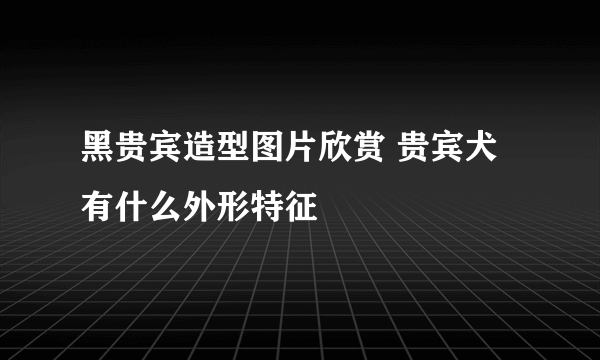 黑贵宾造型图片欣赏 贵宾犬有什么外形特征