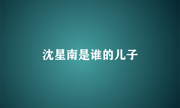 沈星南是谁的儿子