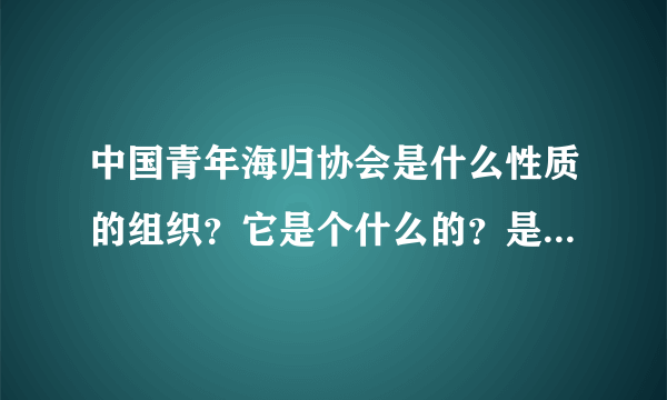 中国青年海归协会是什么性质的组织？它是个什么的？是否是平台组织？