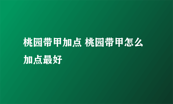 桃园带甲加点 桃园带甲怎么加点最好