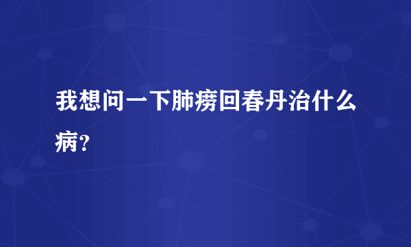 我想问一下肺痨回春丹治什么病？
