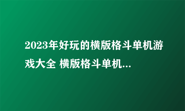 2023年好玩的横版格斗单机游戏大全 横版格斗单机游戏推荐
