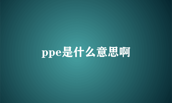 ppe是什么意思啊