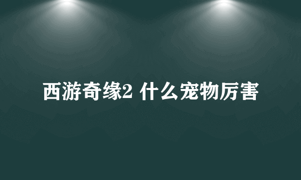 西游奇缘2 什么宠物厉害