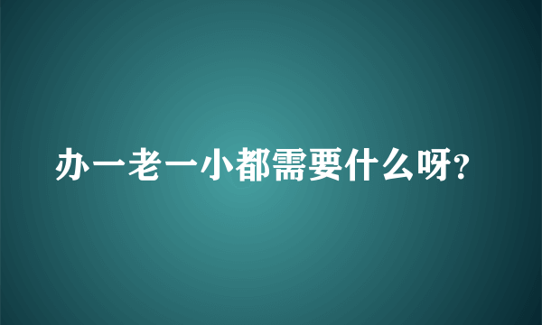 办一老一小都需要什么呀？