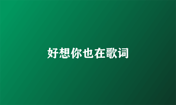 好想你也在歌词
